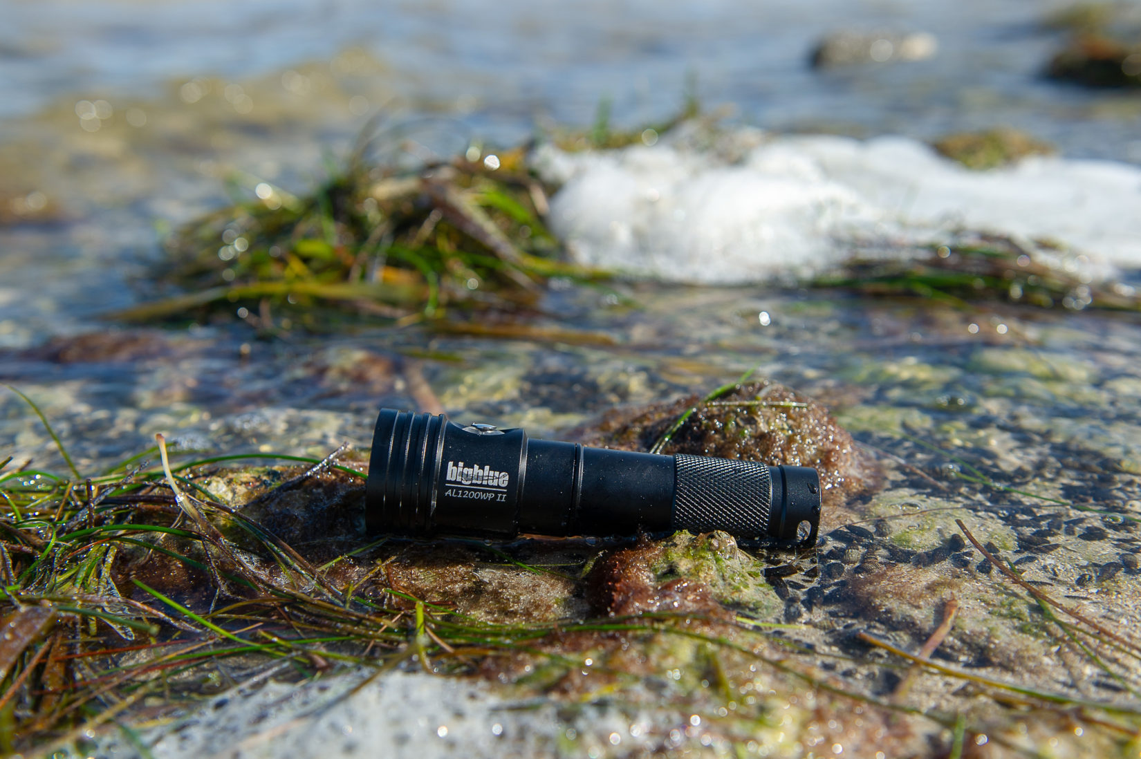 Recreational Deep Dive Bigblue Dive Lights