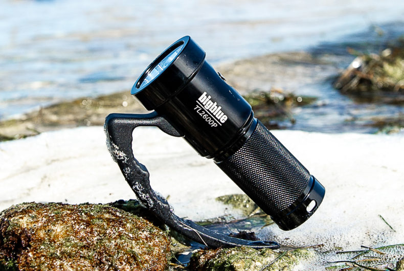 Technical Lights Focus on the Details with Bigblue Dive Lights