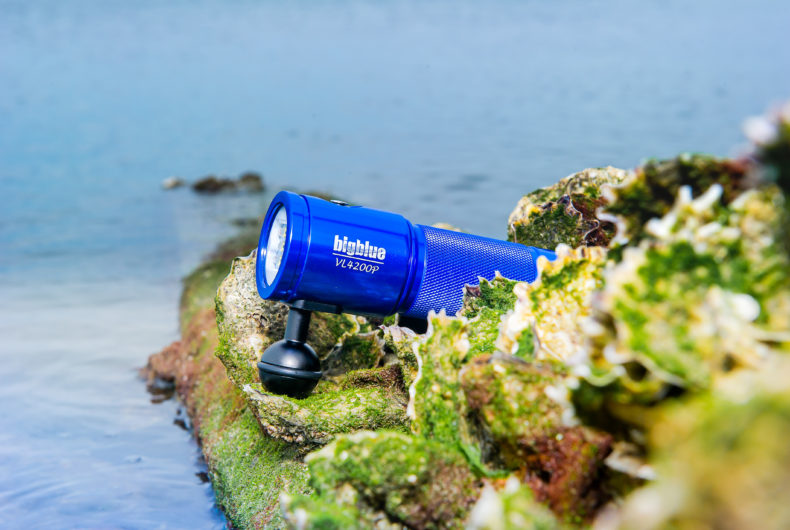 Wide Angle Video and Photo Lights Bigblue Dive Lights